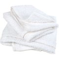 R & R Textile Mills Inc Pro-Clean Basics Anti-Bacterial Terry Cloth Rags, White, 1 Lb. - 99800 99800